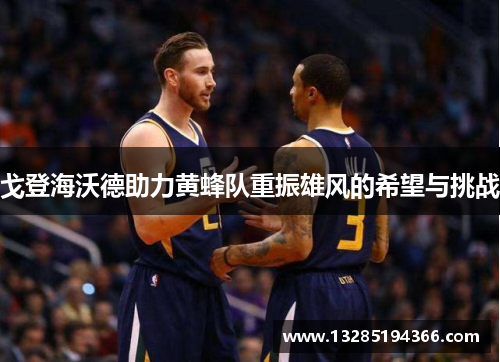 戈登海沃德助力黄蜂队重振雄风的希望与挑战