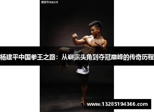 杨建平中国拳王之路：从崭露头角到夺冠巅峰的传奇历程