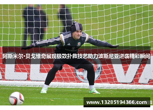 阿斯米尔·贝戈维奇展现极致扑救技艺助力波斯尼亚逆袭精彩瞬间