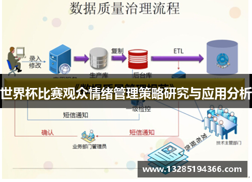 世界杯比赛观众情绪管理策略研究与应用分析 世界杯比赛观众情绪管理策略研究与应用分析