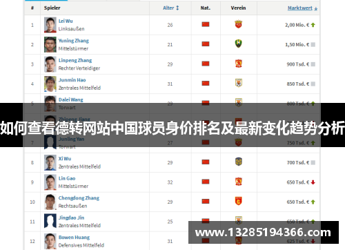 如何查看德转网站中国球员身价排名及最新变化趋势分析