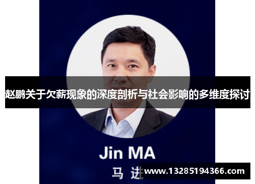 赵鹏关于欠薪现象的深度剖析与社会影响的多维度探讨